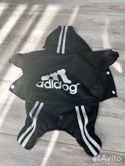 Одежда для маленьких собак