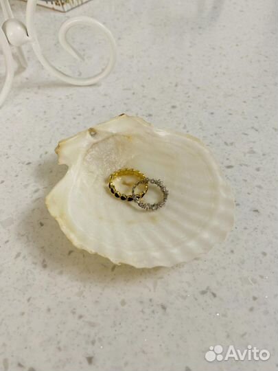 Морские раковины, ракушки