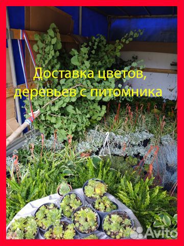 Грузоперевозки Переезды Грузчики Газели 3-4-5-6м