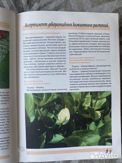 Большая энциклопедия комнатных растений