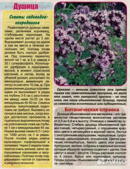 Лекарственные растения