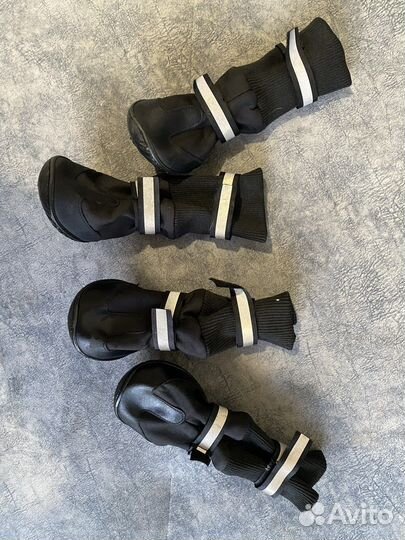 Обувь для собак