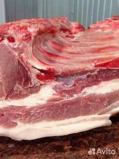 Продается мясо свинина