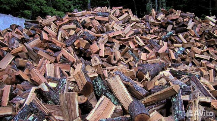 Дрова в сетках