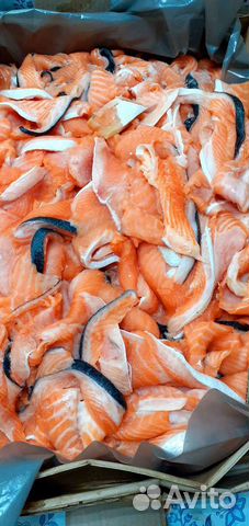 Головы семги. Обрези лососевых свежие