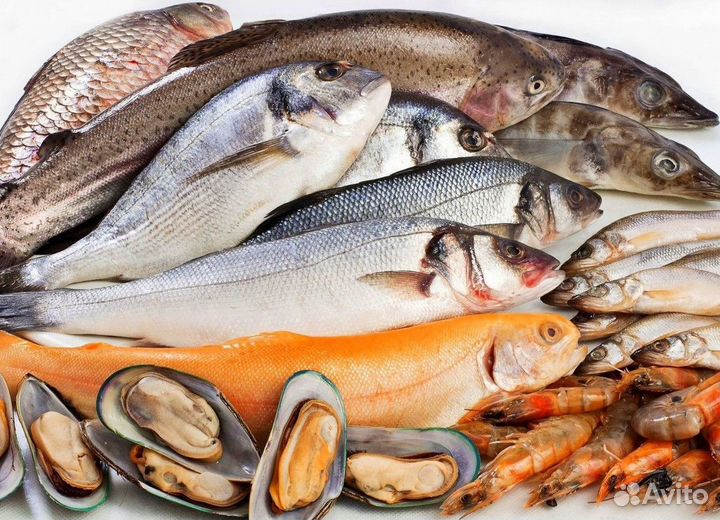 Магазин свежей рыбы king fish