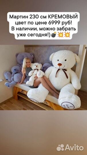 Плюшевые медведи