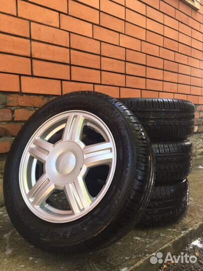 Торусы r14