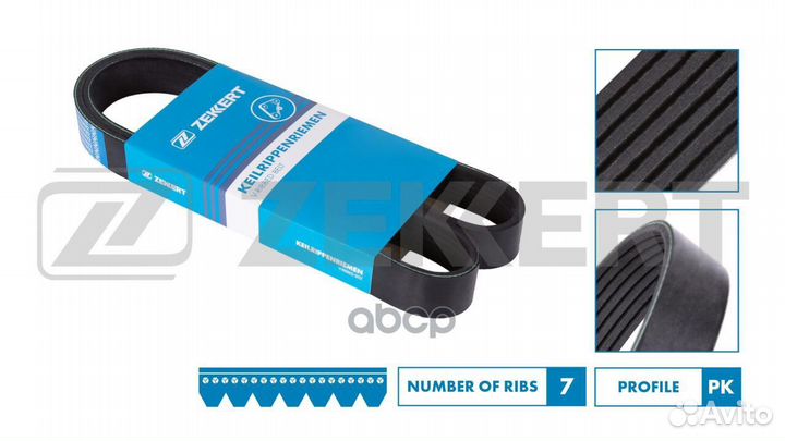 Ремень поликлиновой Nissan Primera (P12) 02