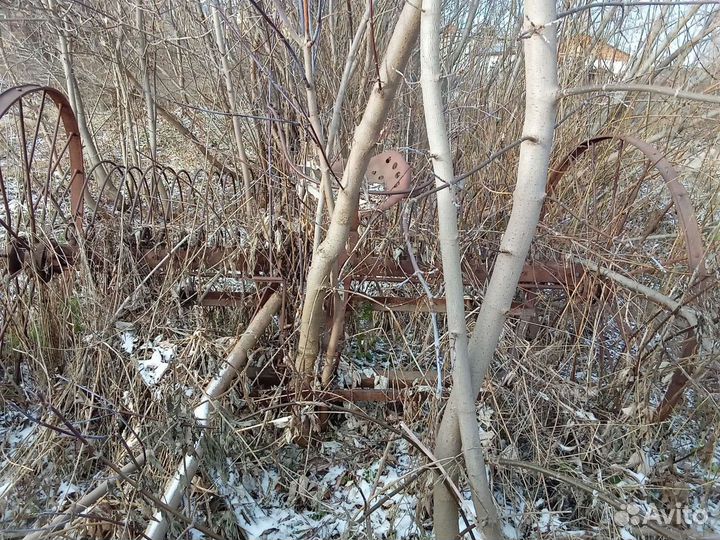 Конные грабли