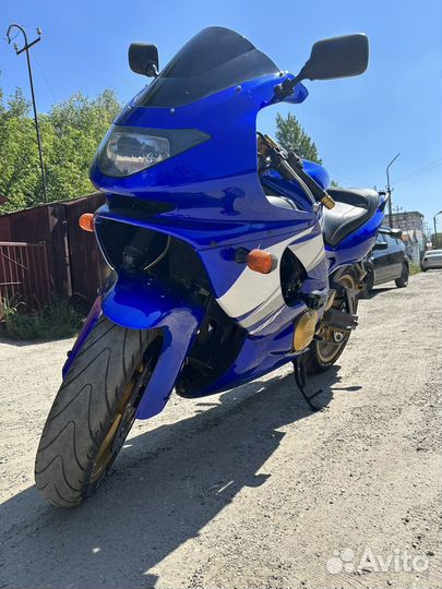 Yamaha