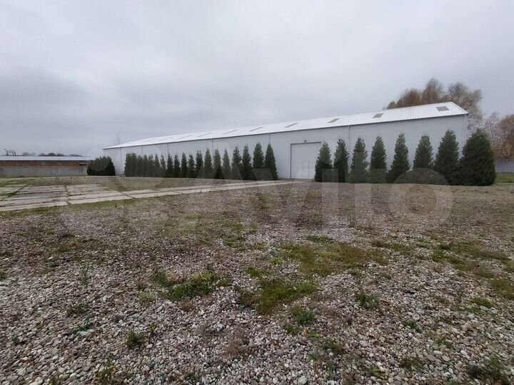 Склад, 1000 м²