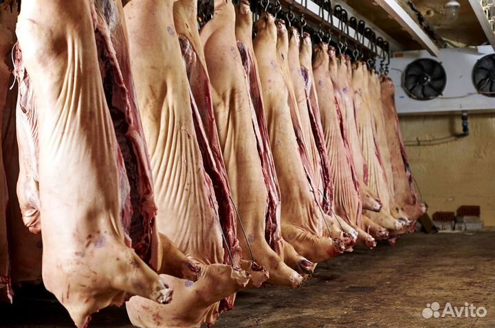 Свинина в полутушах