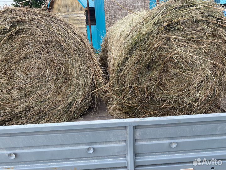 Продам сено в тюках