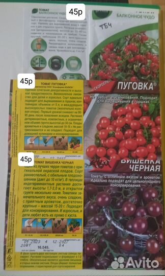 Продам рассаду