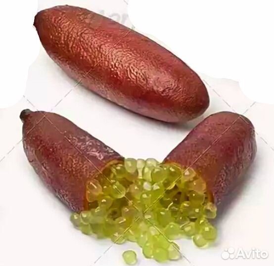 Пальчиковый лайм Фингер