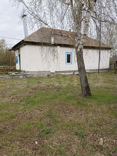 Дом 70 м² на участке 50 сот.