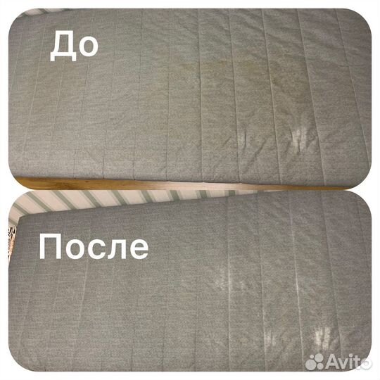 Аренда моющего пылесоса Karcher