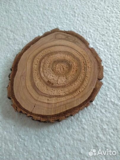 Торцевые спилы ирги