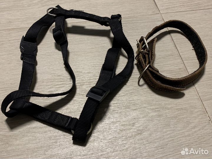 Шлейка для собаки с ошейником