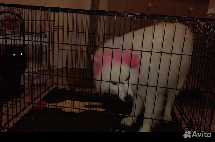 Продам клетку для животных