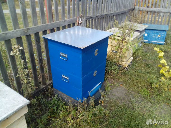 Пчёлы, ульи, пасека