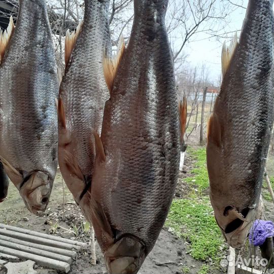 Для рыбалки