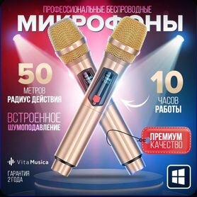 Микрофон для караоке vita musica