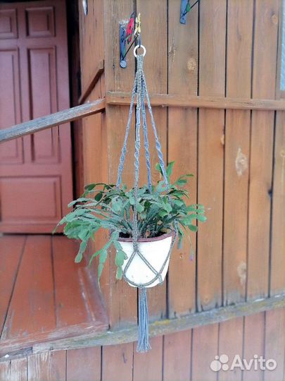 Кашпо подвесное