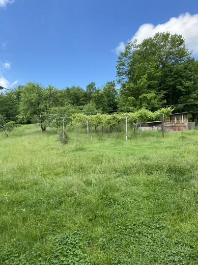 Дом 44,7 м² на участке 16,5 сот.