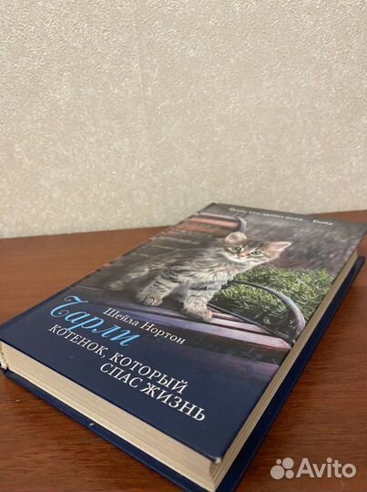 Чарли котенок,который спас жизнь Шейла Нортон