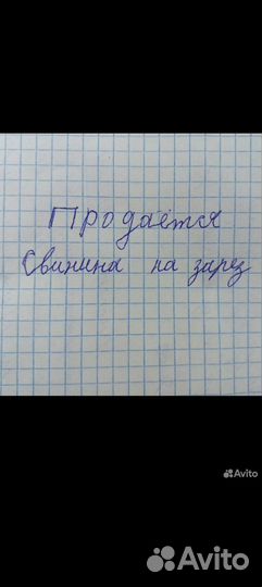 Мясо свинина домашняя