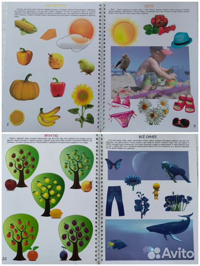 Рабочая тетрадь для детей 0+ Познание Юлия Фишер