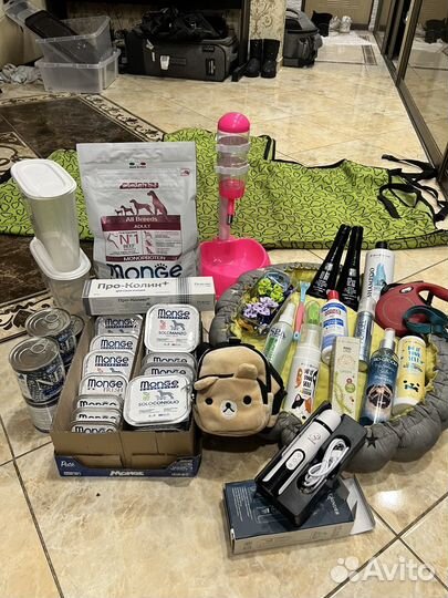 Косметика ISB, корма Monge и вещи для собаки
