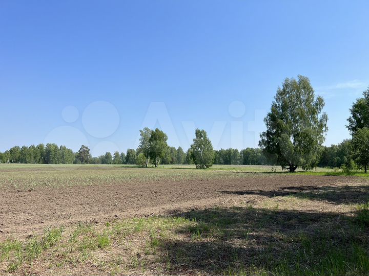 Участок 30 га (СНТ, ДНП)