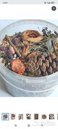 Копошилка для попугаев