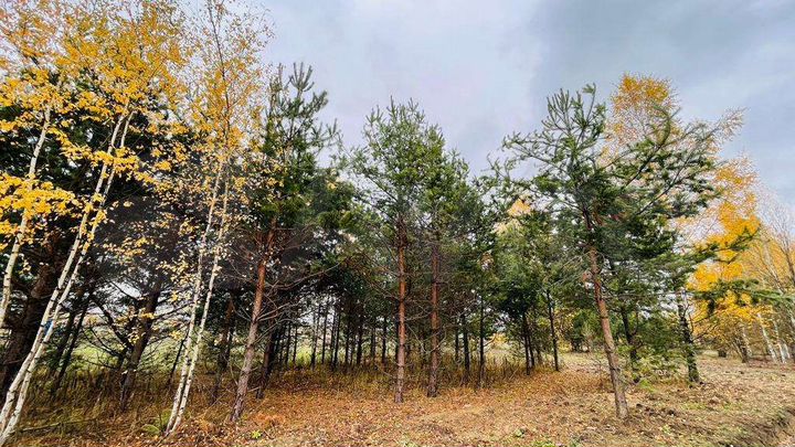 Участок 7,5 сот. (ИЖС)