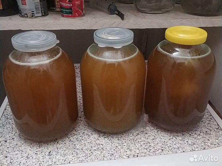 Урожай 2024 мед