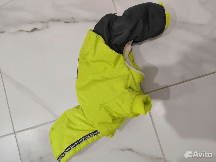 Одежда для маленьких собак