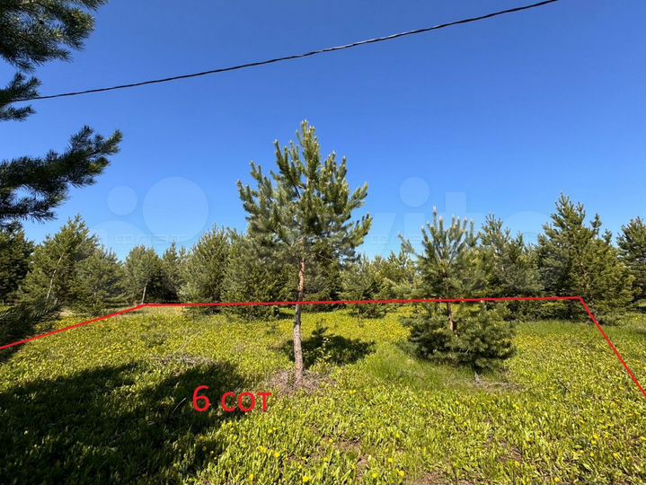 Участок 6 сот. (ИЖС)