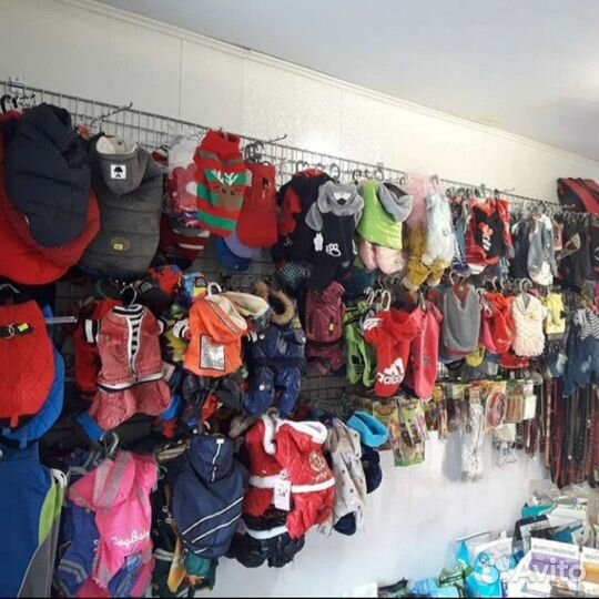 Одежда для собак