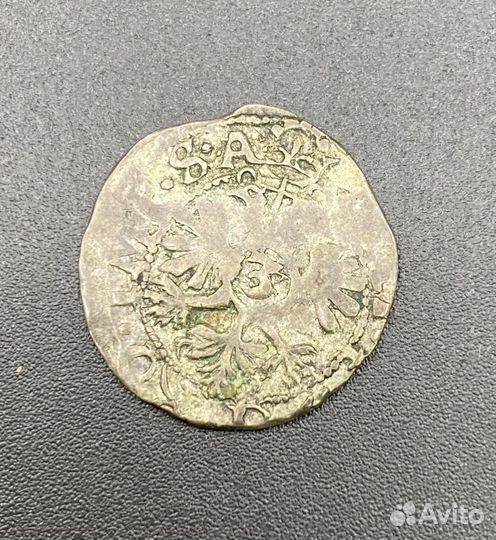 Монета. Речь Посполитая. 17 век