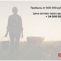 Аграрный портал в городе Алчевск, Алчевск