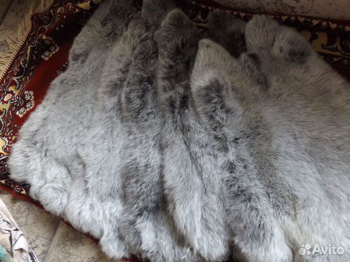 Шкурки кролика большое светлое серебро