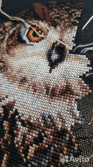 Картина вышивка Сова