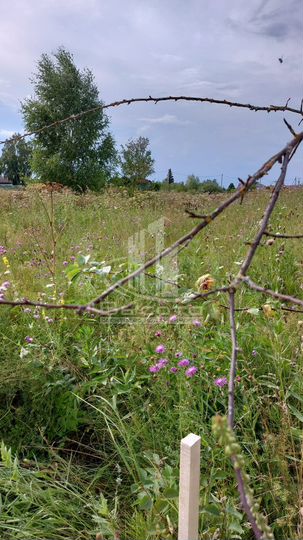 Участок 12 сот. (ИЖС)