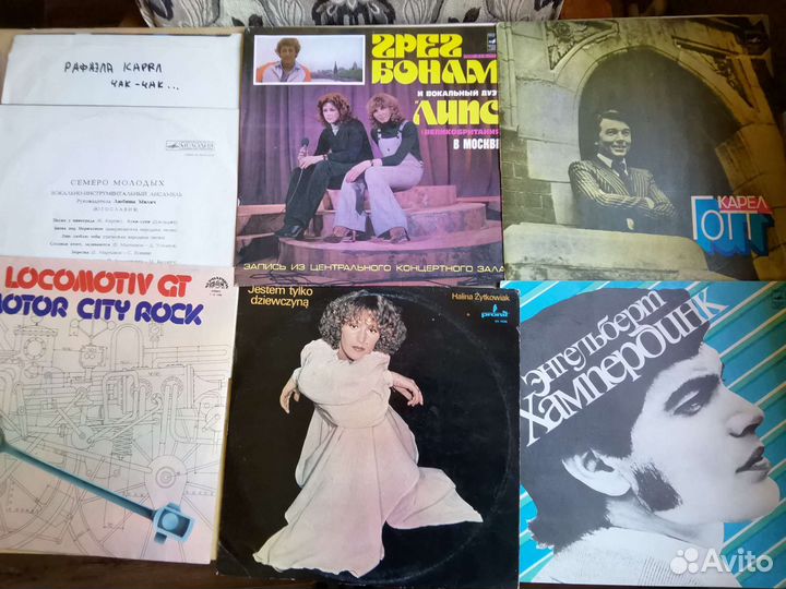 Виниловые пластинки