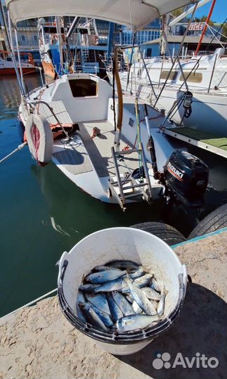 Аренда яхты и Морская рыбалка от собственника