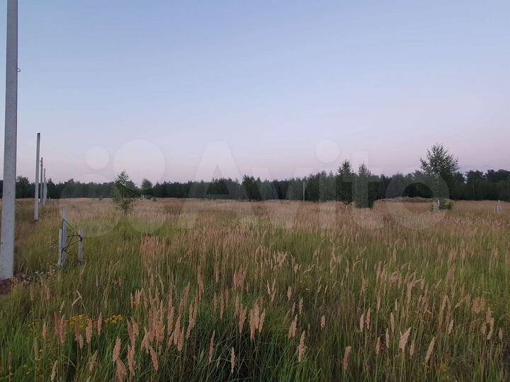 Участок 13,3 сот. (СНТ, ДНП)