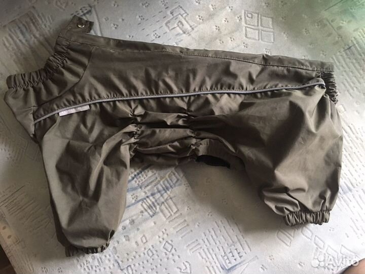 Одежда для собак